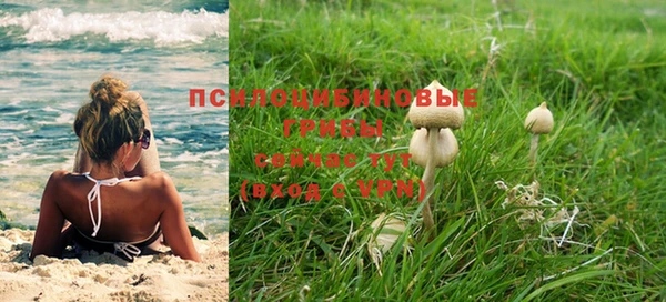 амф Армянск