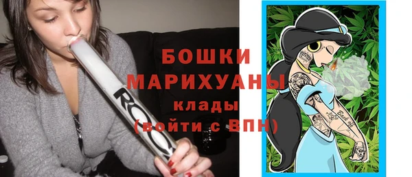 крисы Арсеньев